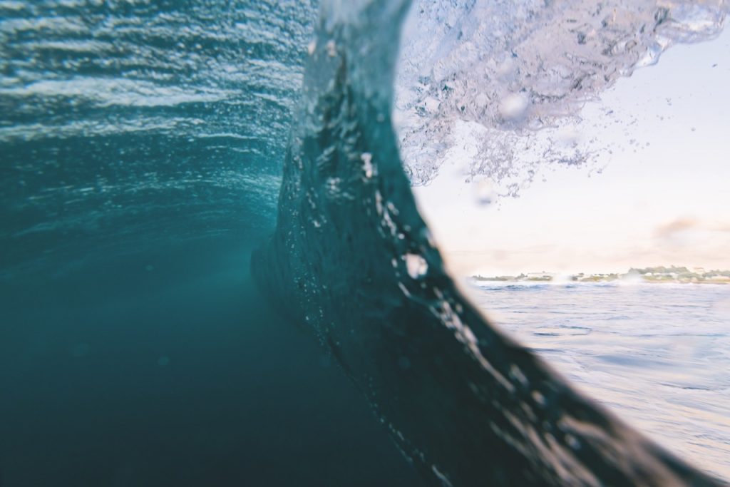 Surfeando el futuro